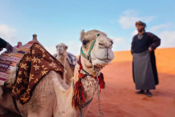 Mauritania